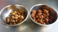 乾燥龍眼（左）茘枝（ライチ　右）